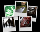 A desktop background collage from Millennium's Goodbye To All That.