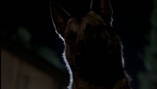 A random Millennium image from the second season episode Beware of the Dog.