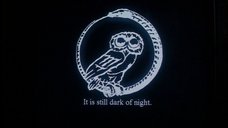 The Owl version of the Millennium group's Ouroborus symbolic logo.
